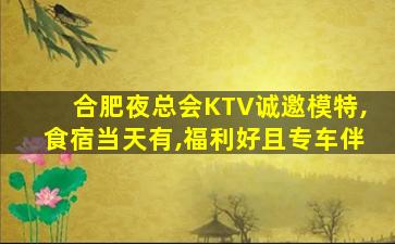 合肥夜总会KTV诚邀模特,食宿当天有,福利好且专车伴